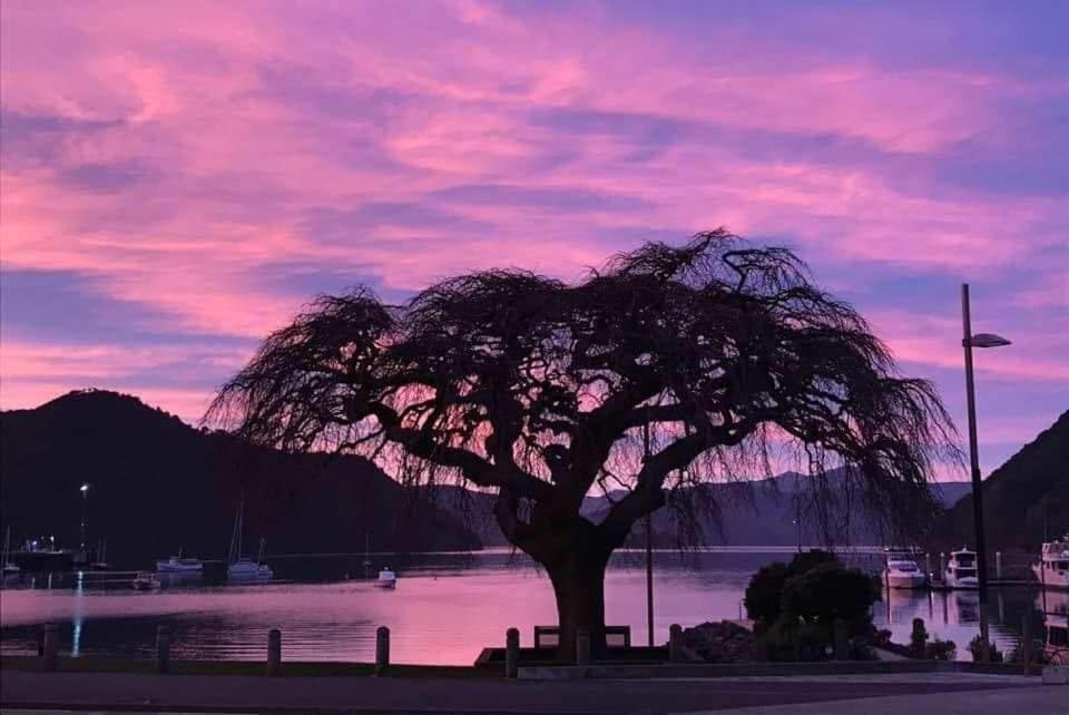 Piwaka Lodge Picton Zewnętrze zdjęcie